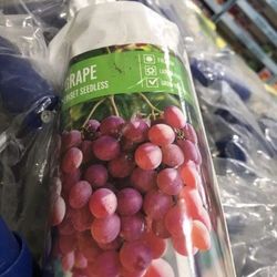 1ft Reliance Red Seedless Grape Seedling Plant