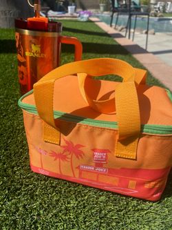 Trader Joe’s insulated lunch bag
