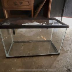 Fish tank 