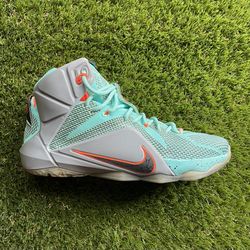 Lebron 12 “Miami Dolphins”