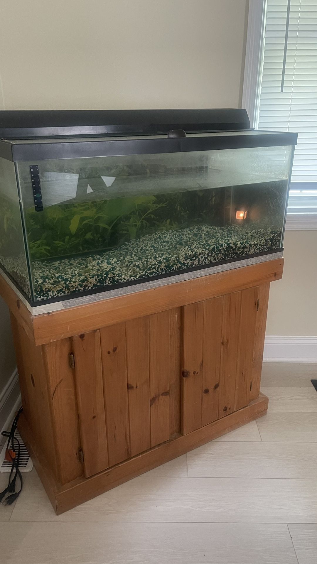 Fish Tank