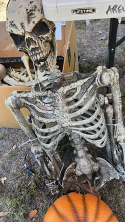 Unopened Skeleton, Halloween Decoration