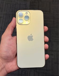 Apple iPhone 13 Pro Max 256GB Unlocked for Any Company