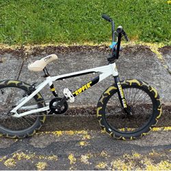 Costom se bmx bike