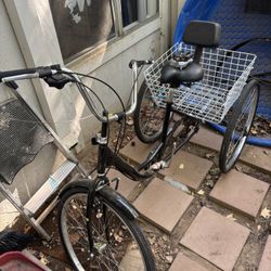 Adult Tricycle Bike