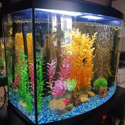 Deluxe 💎 Bowfront 40 gal. Aquarium with Stand. Pecera completa de lujo con frente convexo y base.