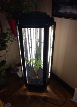 PhotoTron grow cabinet box