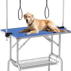 Large Grooming Table