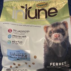 Ferret Food 