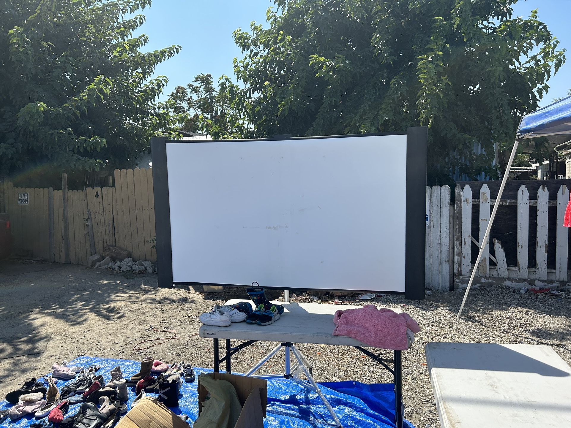 Projector Screen