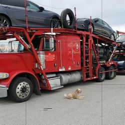 Peterbilt   Semi Truck  Stinger Car Hauler 