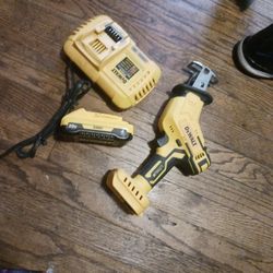 New Dewalt Sawzall.  Can't Get This One In Store 