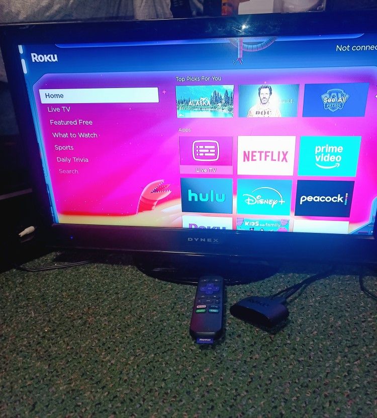 24inch Tv With Roku Streaming Device