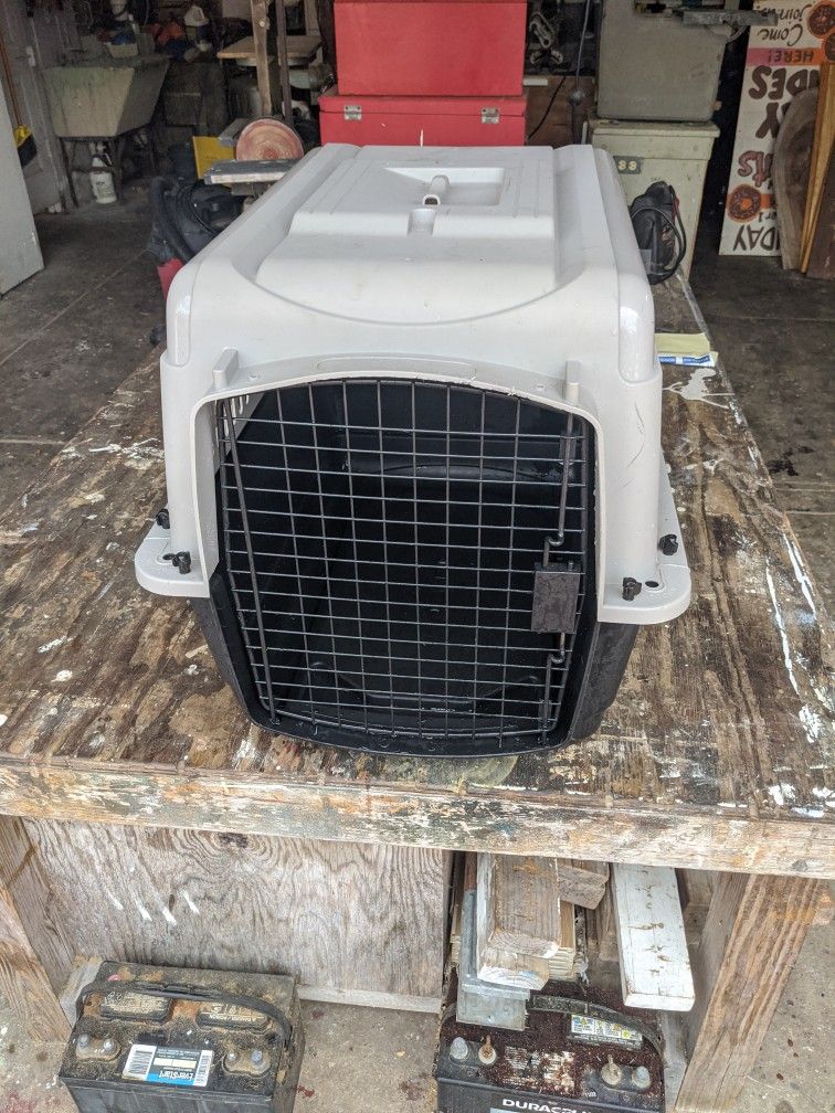 Dog Kennel