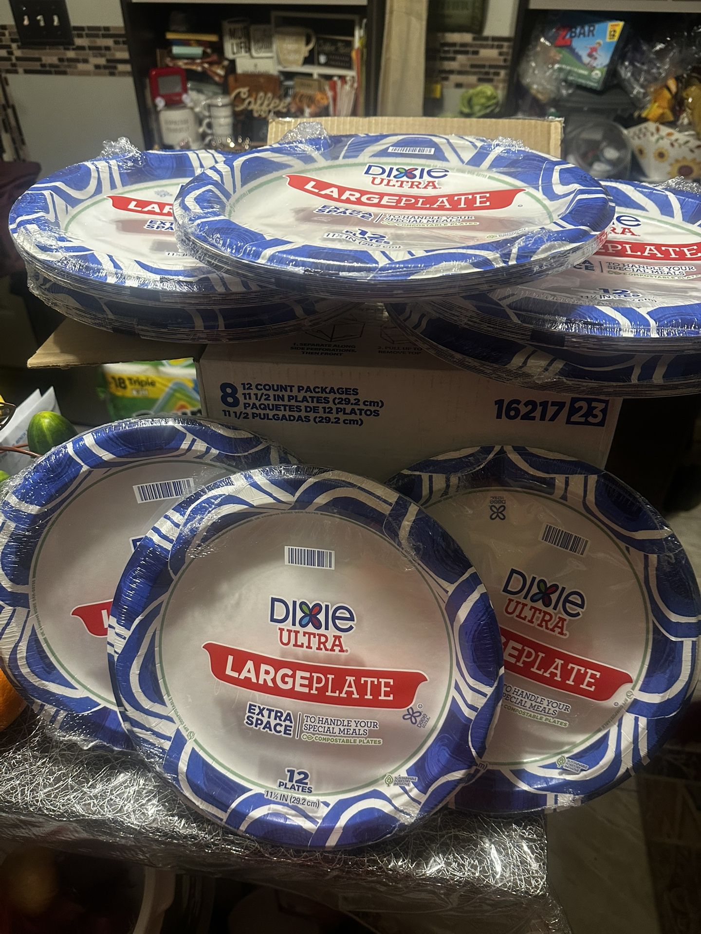Dixie Plates (11 1/2 Inch)