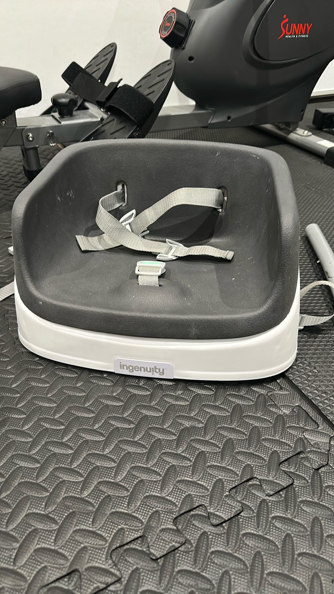 Ingenuity Booster Seat