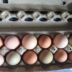 Fresh Organic Eggs