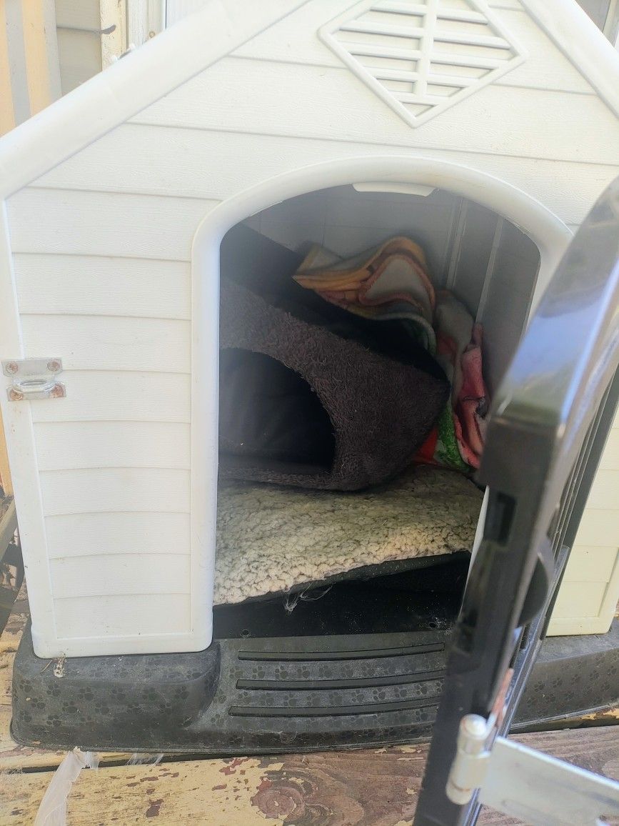Dog House