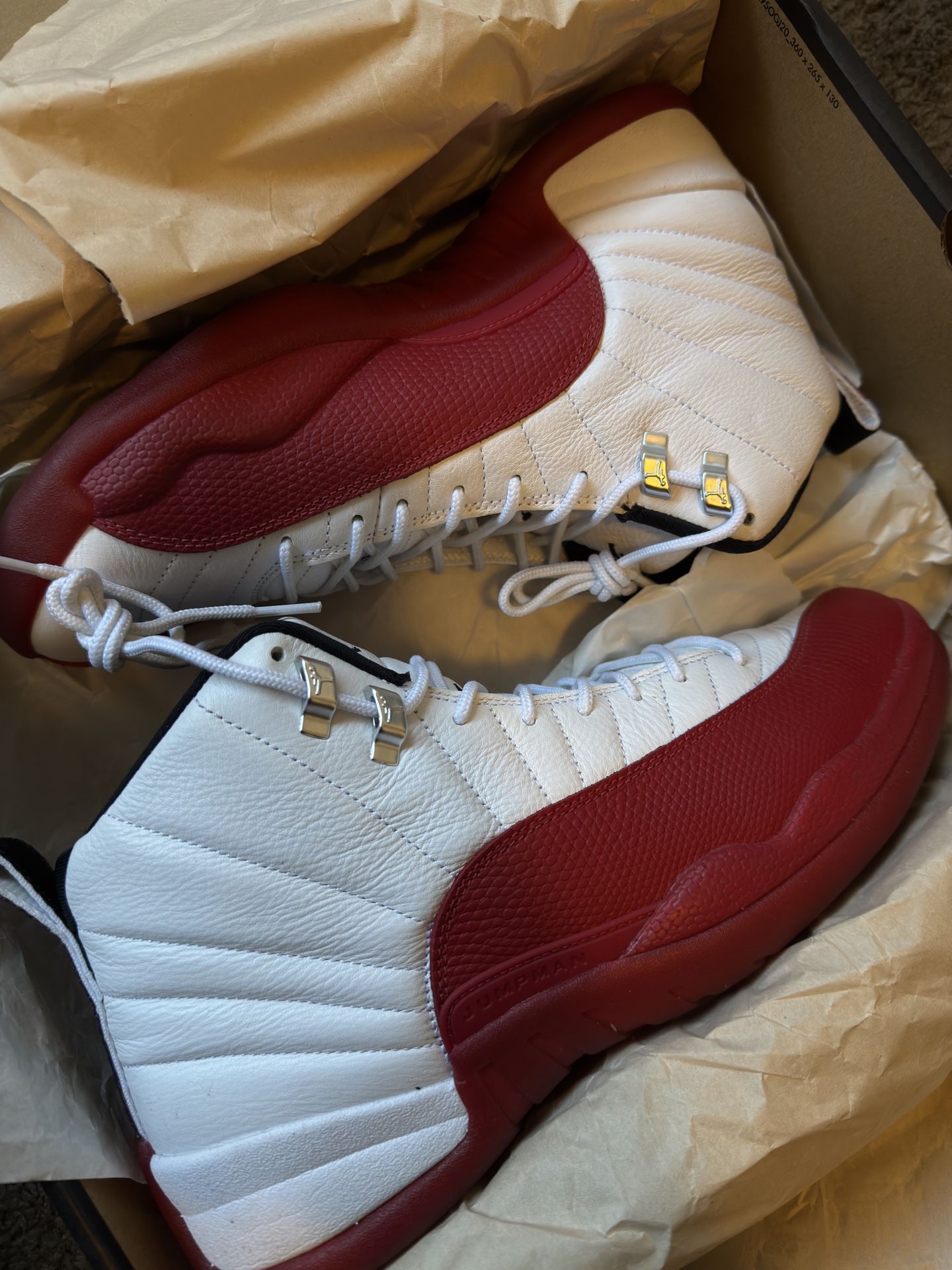Jordan 12 Cherry