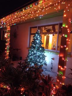 Christmas Tree 🎄 🎅