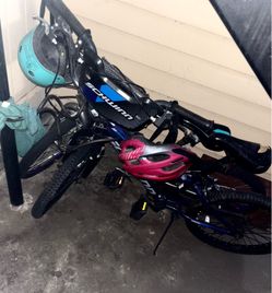 Schwinn girl bikes Make An Offer
