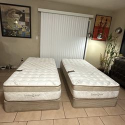 TWO SETS OF TWIN XL SAATVA BRAND