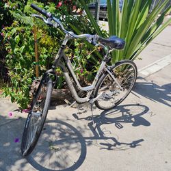 7 Speed Trek Bike