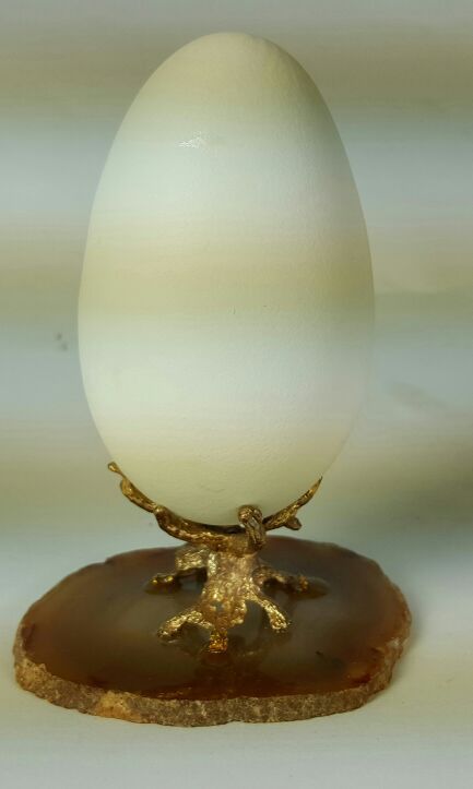 Eagle in Shell