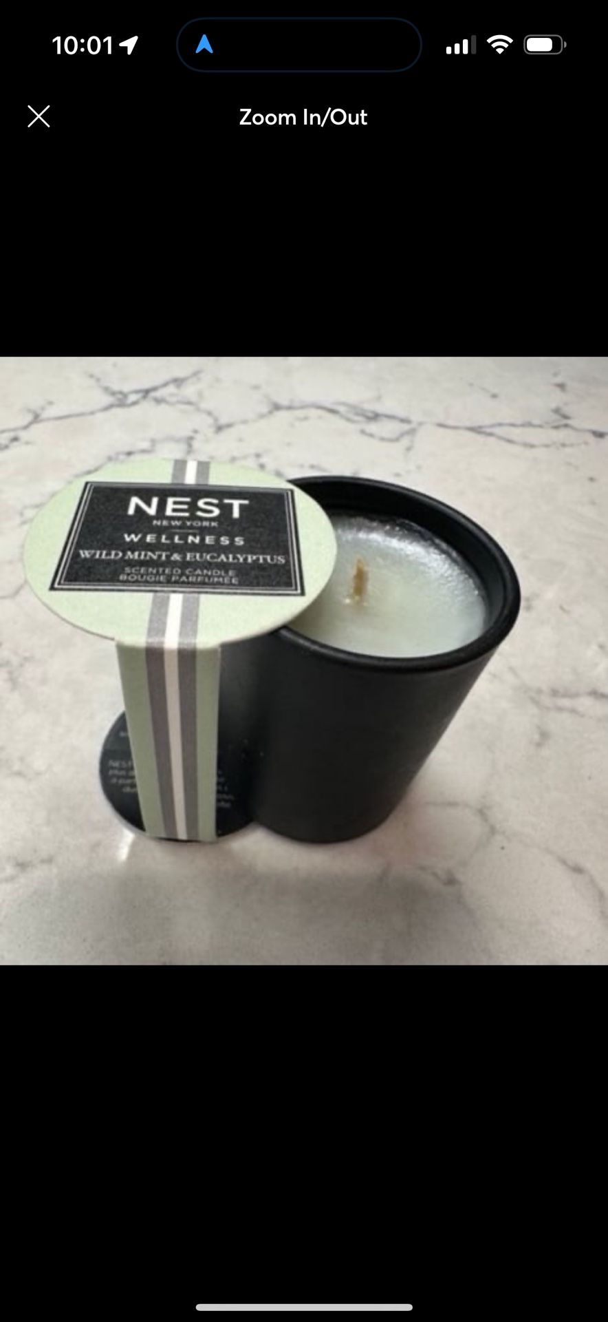 Nest Wellness Wild Mint & Eucalyptus scented candle 27 grams