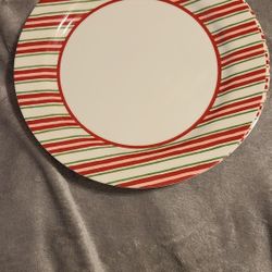 Plastic Plates 3  Lightweight  Not Hard to Hold