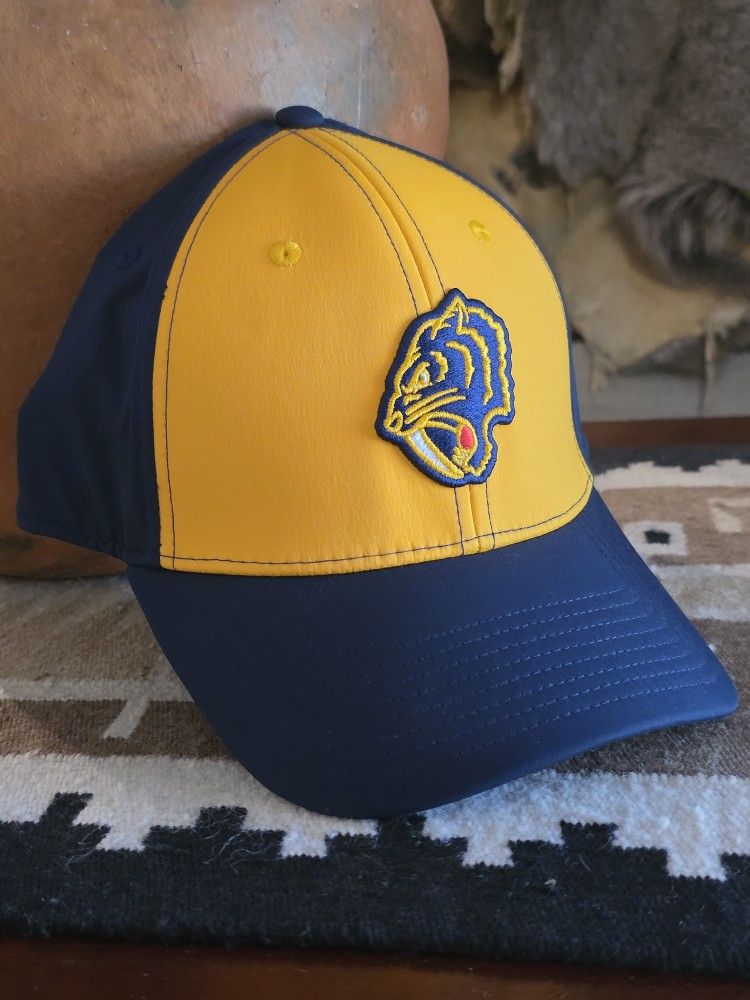 Nashville Predators NHL Winter Classic Adidas Fitted Gold / Blue Hat M/L