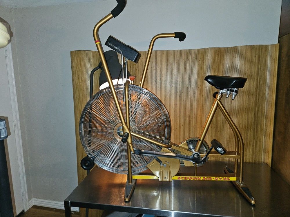 π― Schwinn Airdyne Gold Edition β Chain-Driven Fan Bike
π΅ $200 OBO (local pickup Renton, WA)