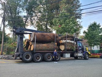Logs firewood