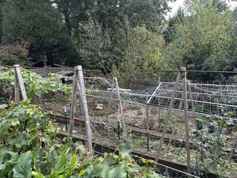Free Wooden Garden Trellis A-Frames (12)