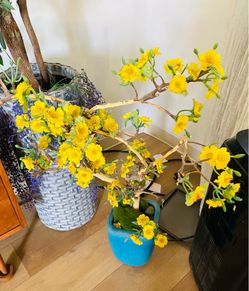 Vietnamese good luck yellow tree