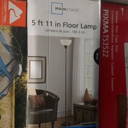 5ft 11in Floor Lamp