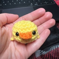 Mini Pocket Chick🐣