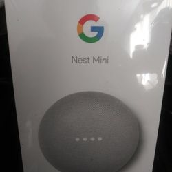 Google Nest Mini