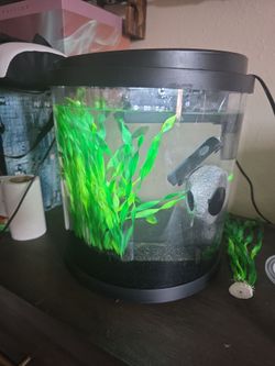 Fish tank