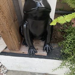 Black Frog