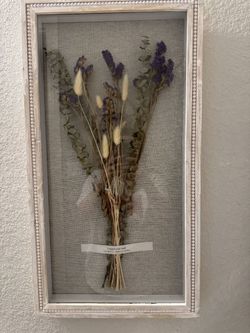 Framed Dried-Flower Shadow Box — "Forget-Me-Not"