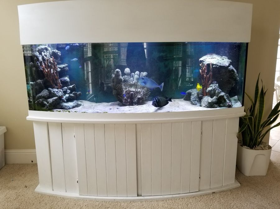 155 gallon fish tank