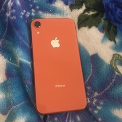 iPhone xr