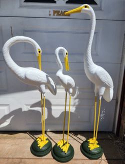 Flamingos 🦩 set 3