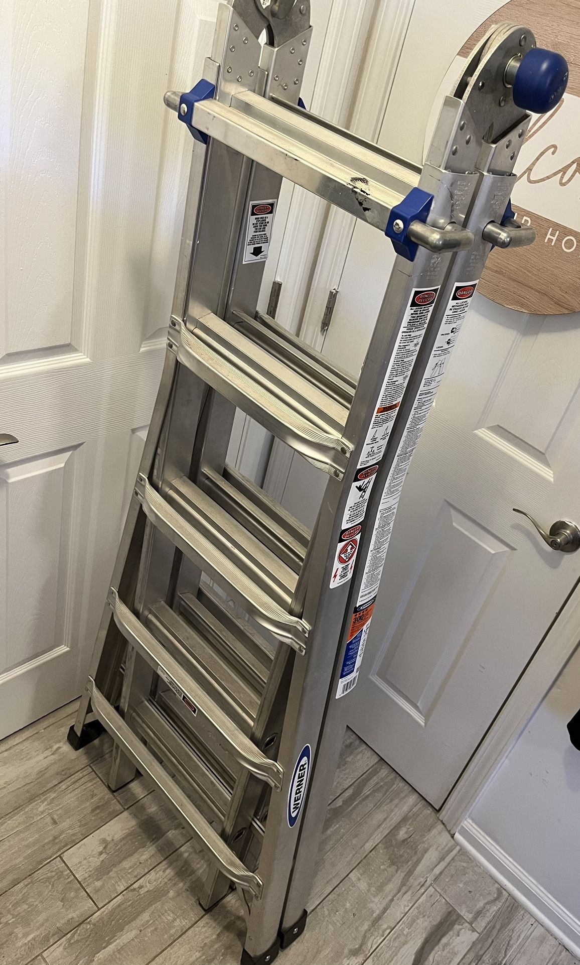 Werner Ladder -Multi position