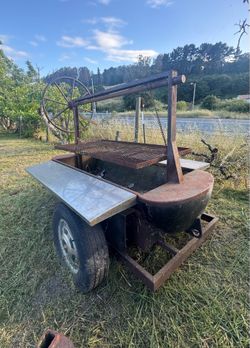 Stain and steel bbq grill