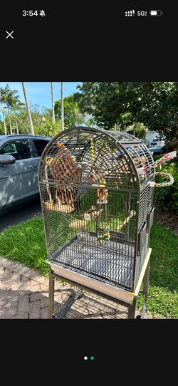 Parrot Cage