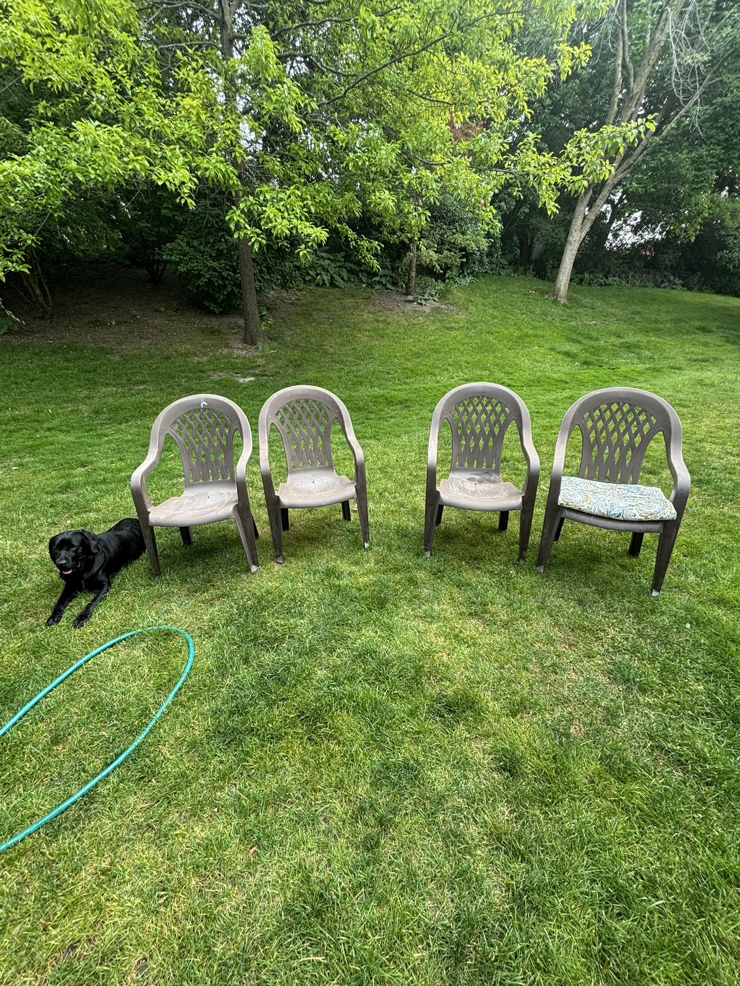 4 Plastic Chairs