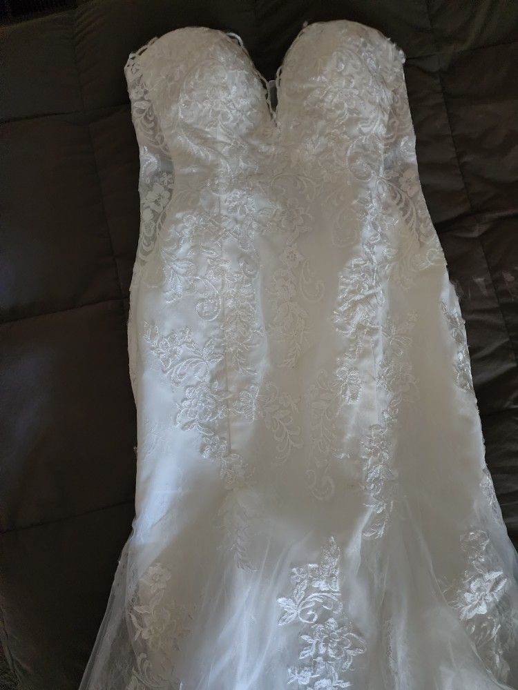 Wedding DRESS 