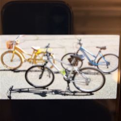 Woman’s Sirius Bicycle & Bike Bag